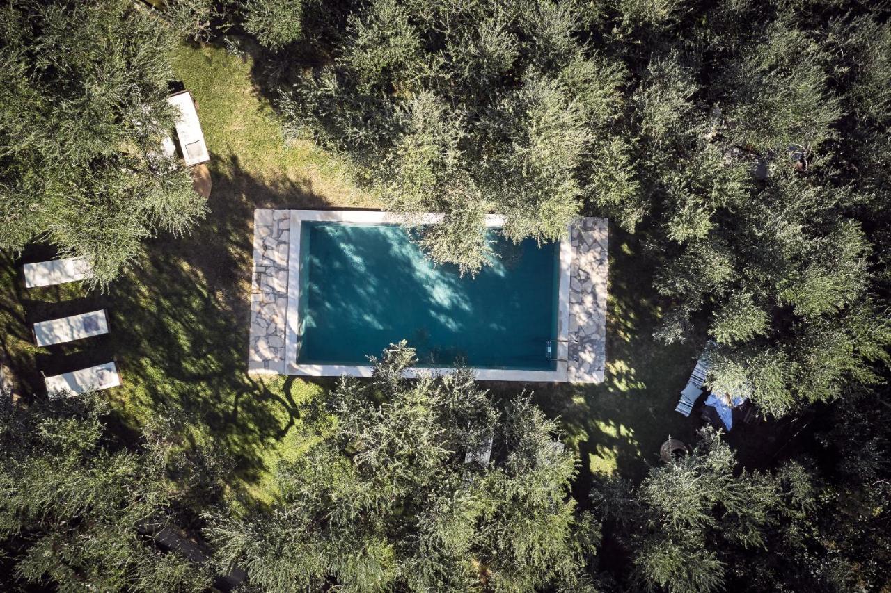 Vafias Villa - Tranquil Location, Ideal For Large Groups, By Zantewize Lithakia  Exteriör bild