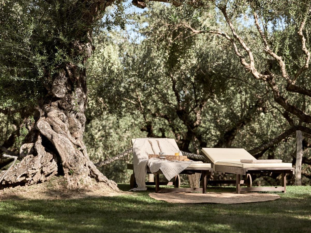 Vafias Villa - Tranquil Location, Ideal For Large Groups, By Zantewize Lithakia  Exteriör bild